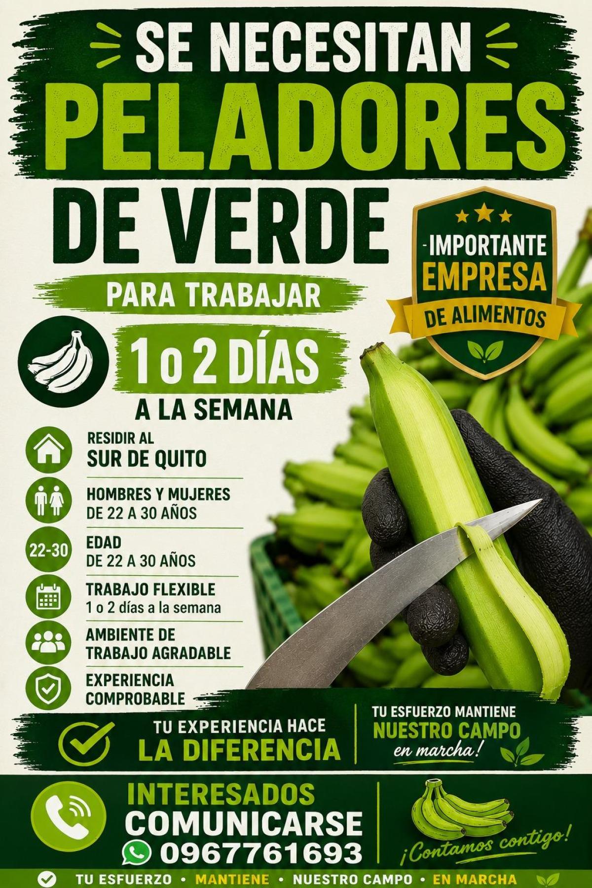 Se necesitan peladores de verde - Tiempo Completo en Pichincha - Foto 1
