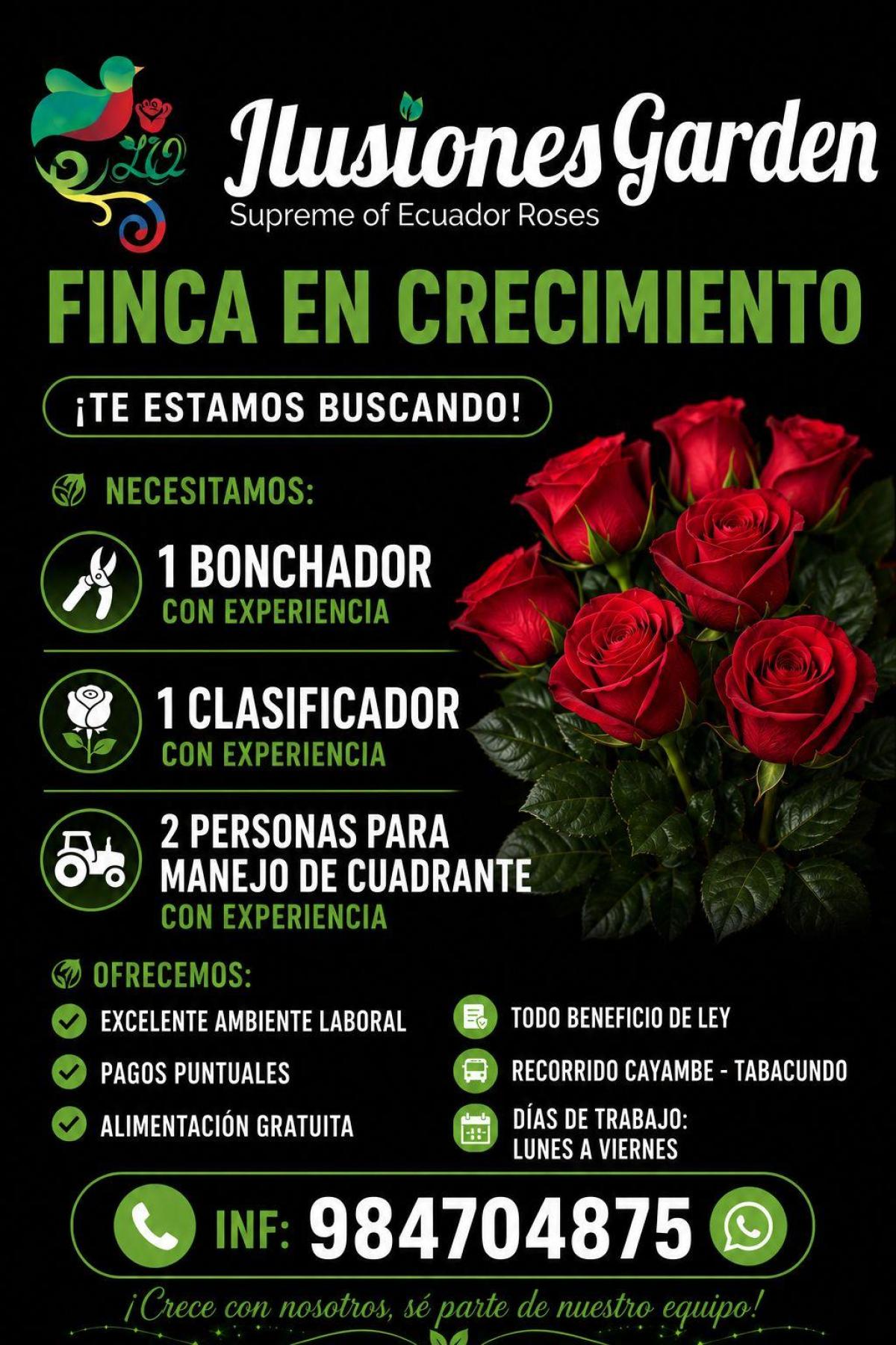 ¡te estamos buscando!  necesitamos: 1 bonchador, 1 clasificador, 2 personas para manejo de cuadrante en Pichincha