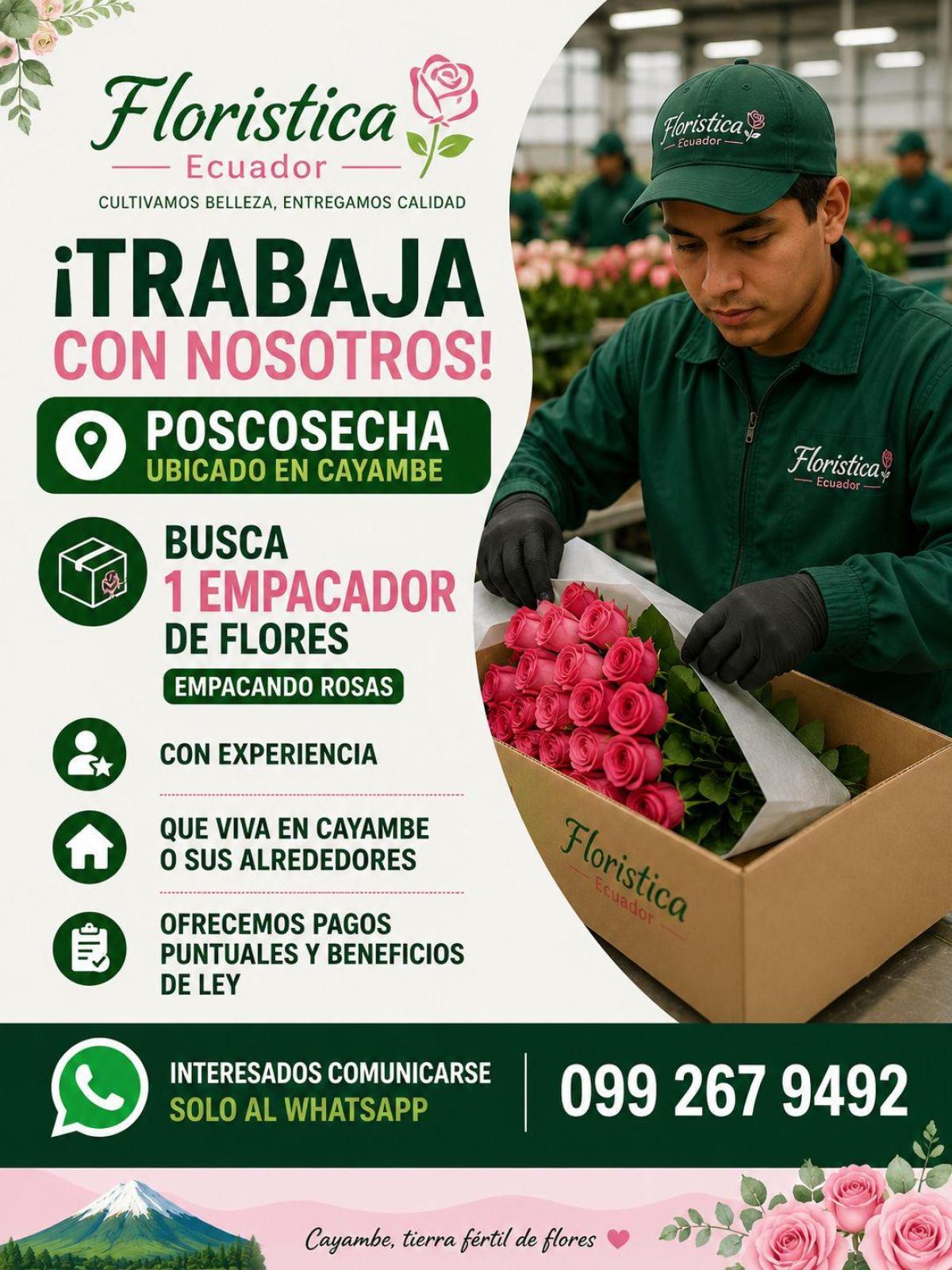 ¡trabaja con nosotros! busca 1 empacador de flores en Pichincha