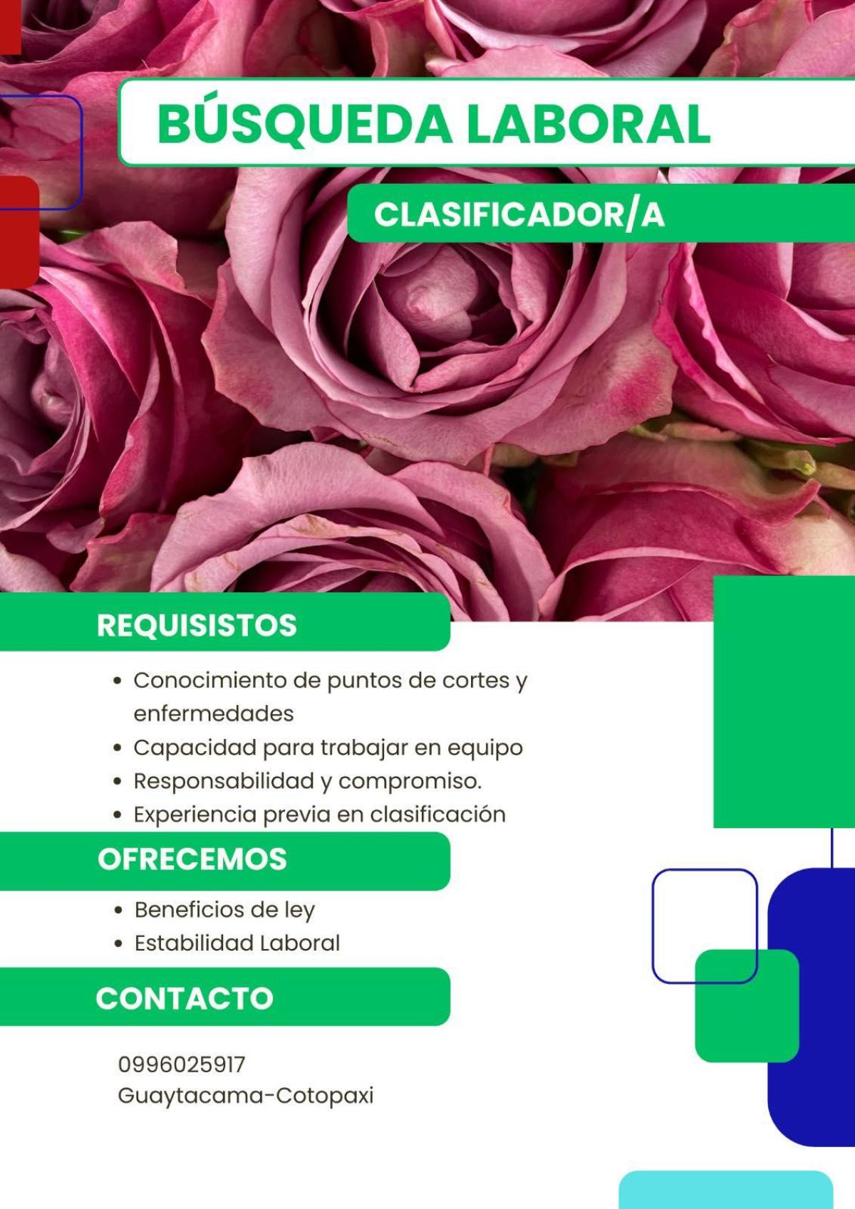 Estamos en búsqueda de un/a clasificador/a para incorporarse a nuestro equipo de trabajo. en Cotopaxi
