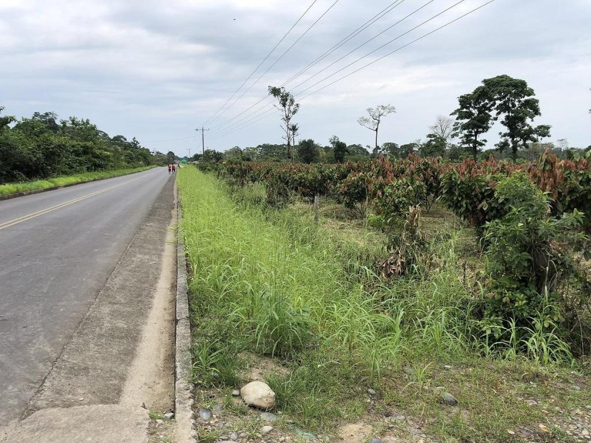 Hacienda amazónica de 310 ha con cacao, balsa y acceso e40 - morona santiago en Morona Santiago