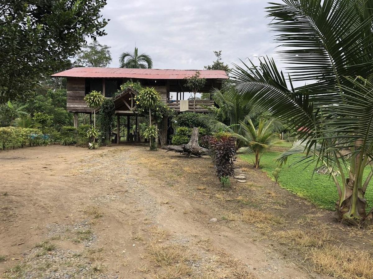 Hacienda amazónica de 310 ha con cacao, balsa y acceso e40 - morona santiago - Terrenos en Morona Santiago - Foto 5