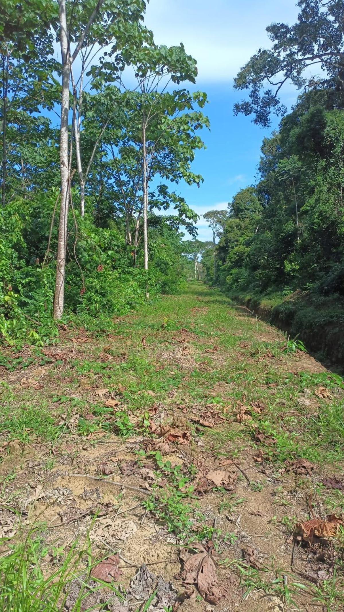 Hacienda amazónica de 310 ha con cacao, balsa y acceso e40 - morona santiago - Terrenos en Morona Santiago - Foto 8