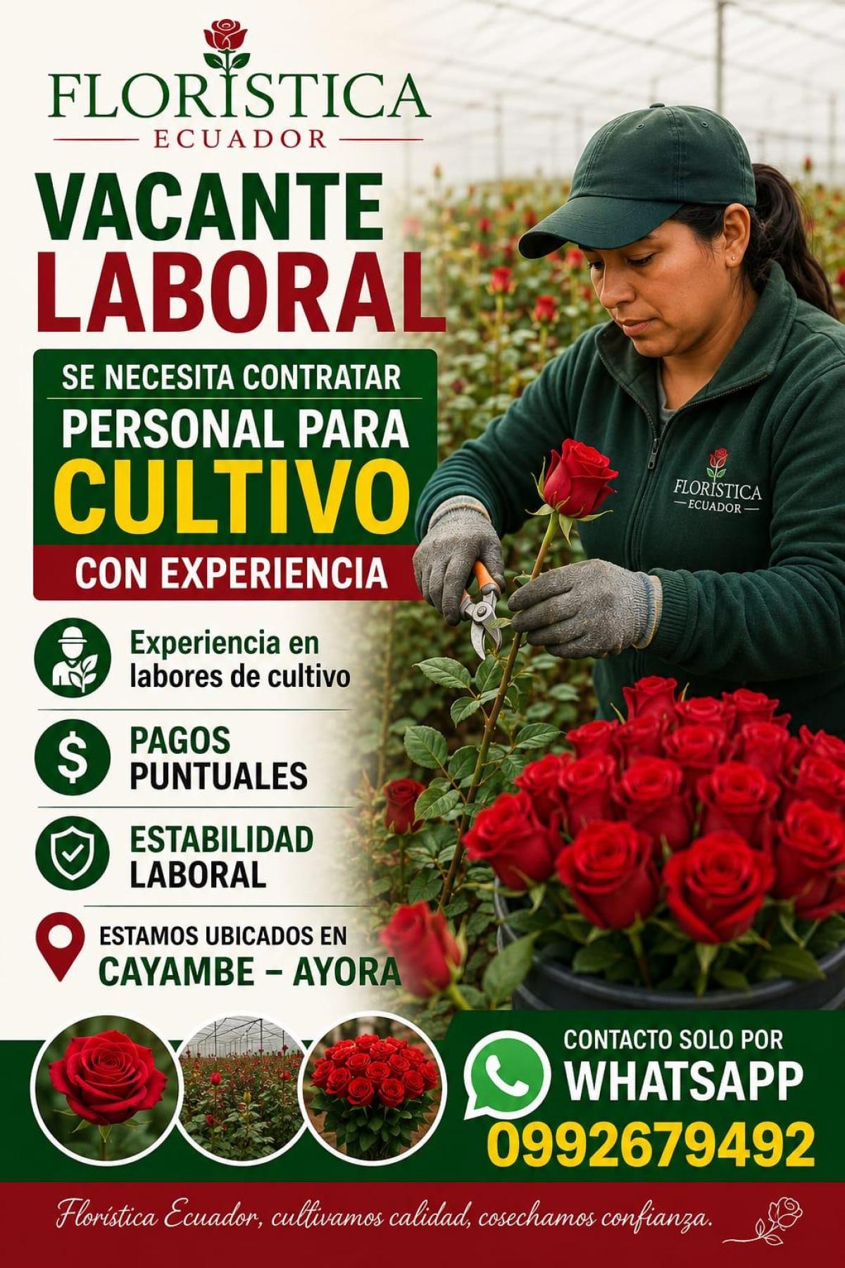 Se necesita contratar personal para cultivo con experiencia en Pichincha